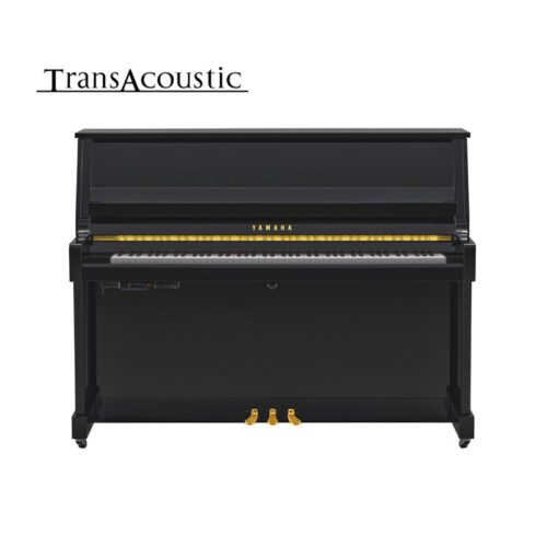 B20 Transacoustic Noir Brillant