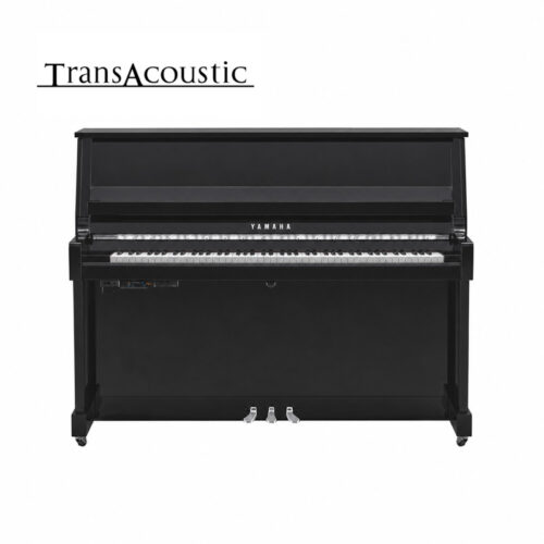 B20 Transacoustic Noir Brillant Chromé