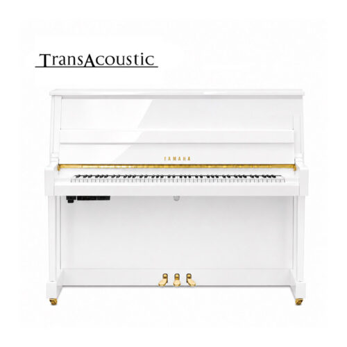 B20 Transacoustic Blanc Brillant