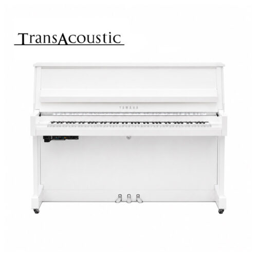 B20 Transacoustic Blanc Brillant Chromé