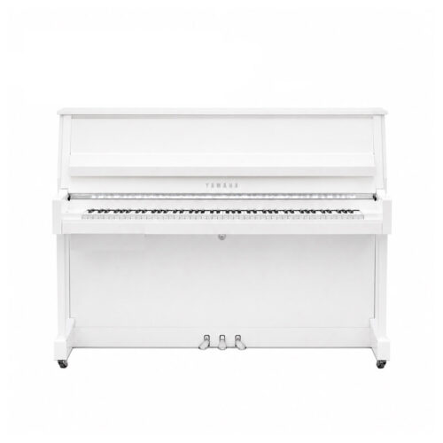 B30 Blanc Brillant Chromé