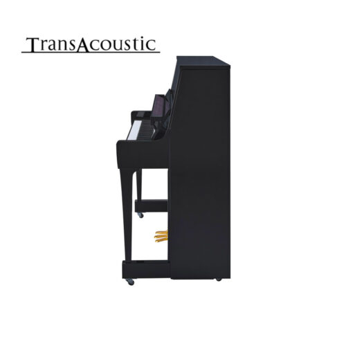B30 Transacoustic Noir Brillant