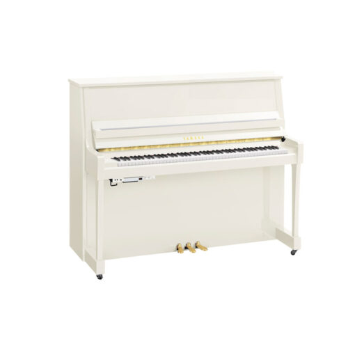 B30 Transacoustic Blanc Brillant