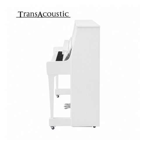 B30 Transacoustic Blanc Brillant Chromé