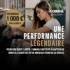 promo yamaha série u Promotion Yamaha Série U