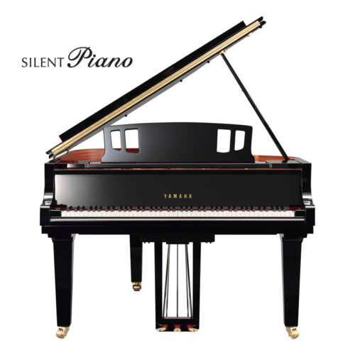 c2x espressivo silent noir brillant c2x espressivo silent noir brillant